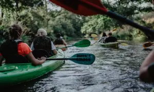 Grupa kajakarzy płynie w dół rzeki podczas spływu kajakowego Małą Panwią. Wiosła i kajaki tworzą zielony szlak wśród drzew.
